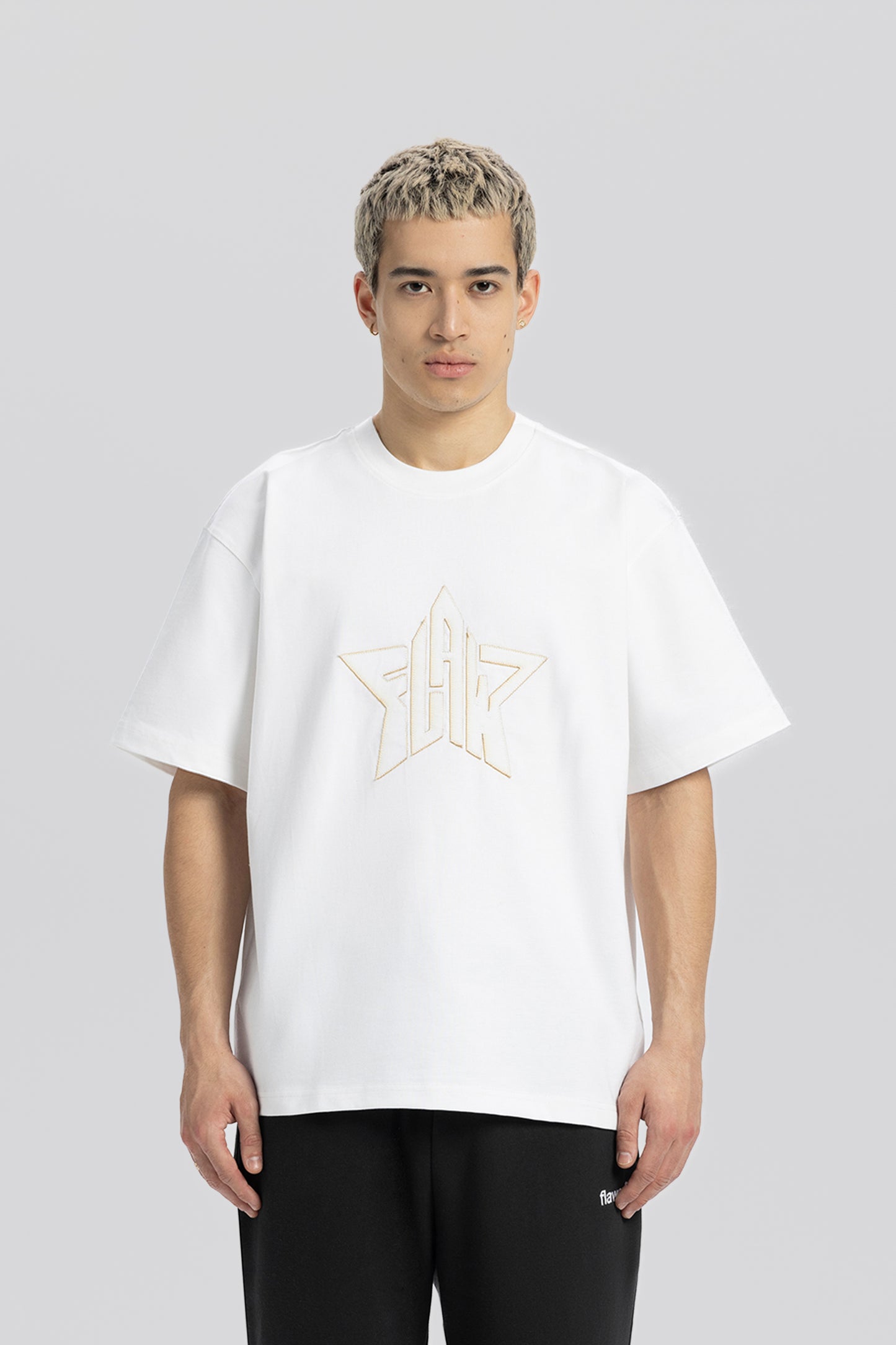 Flaw Embroidery White Star Tee