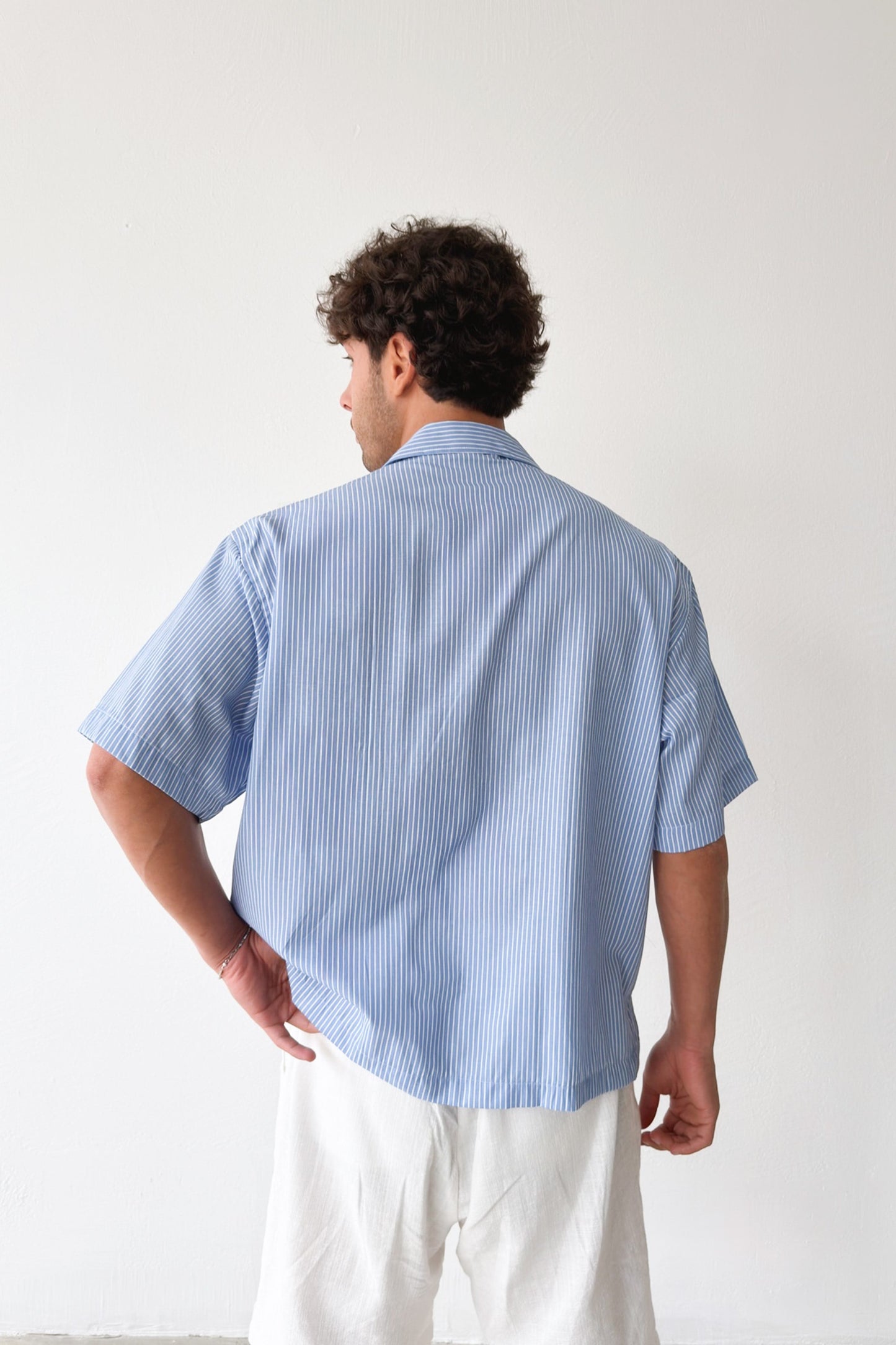 Dive Into Embroidered Striped Poplin Short Sleeve Shirt