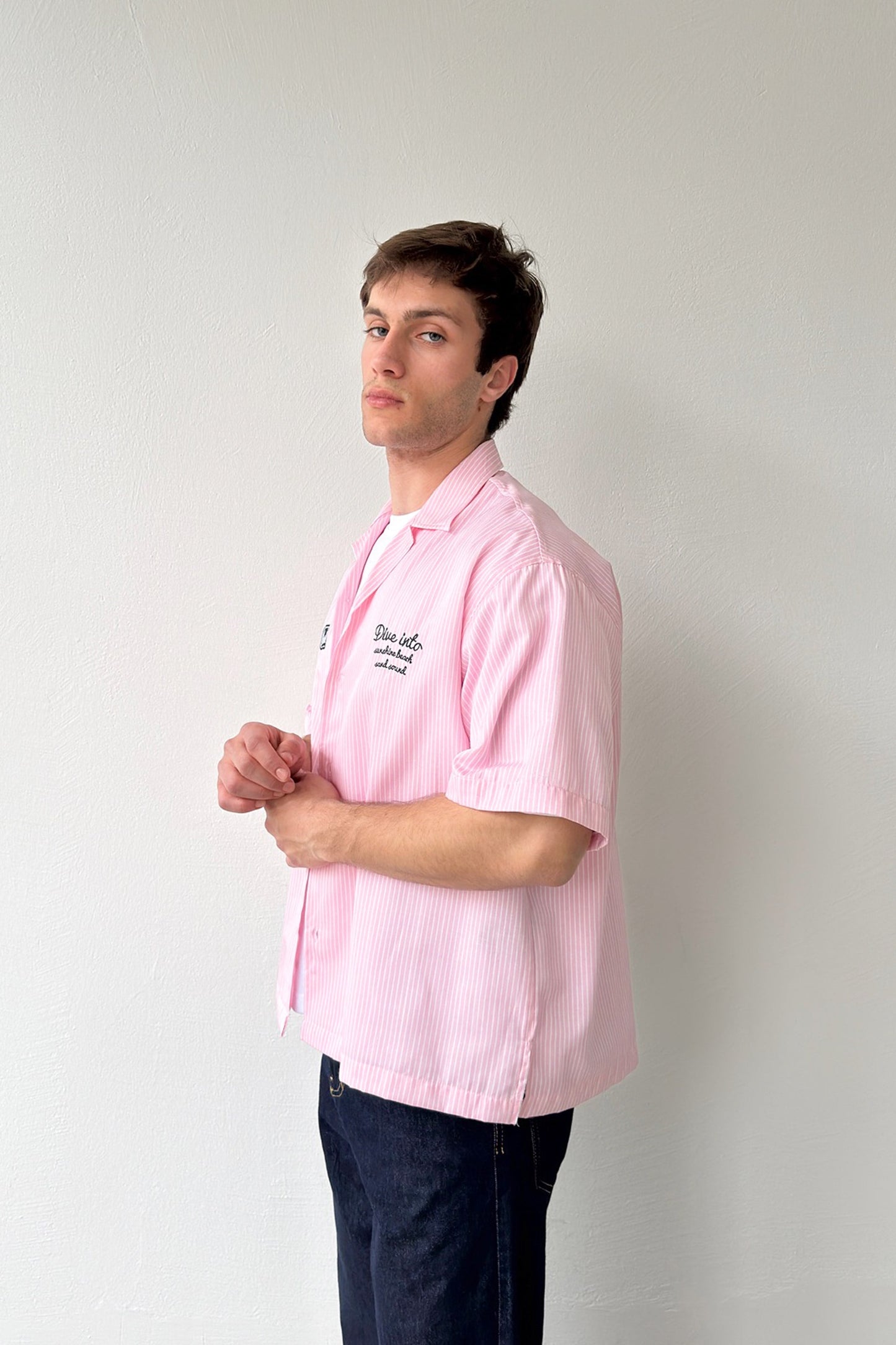 Dive Into Embroidered Striped Poplin Short Sleeve Shirt