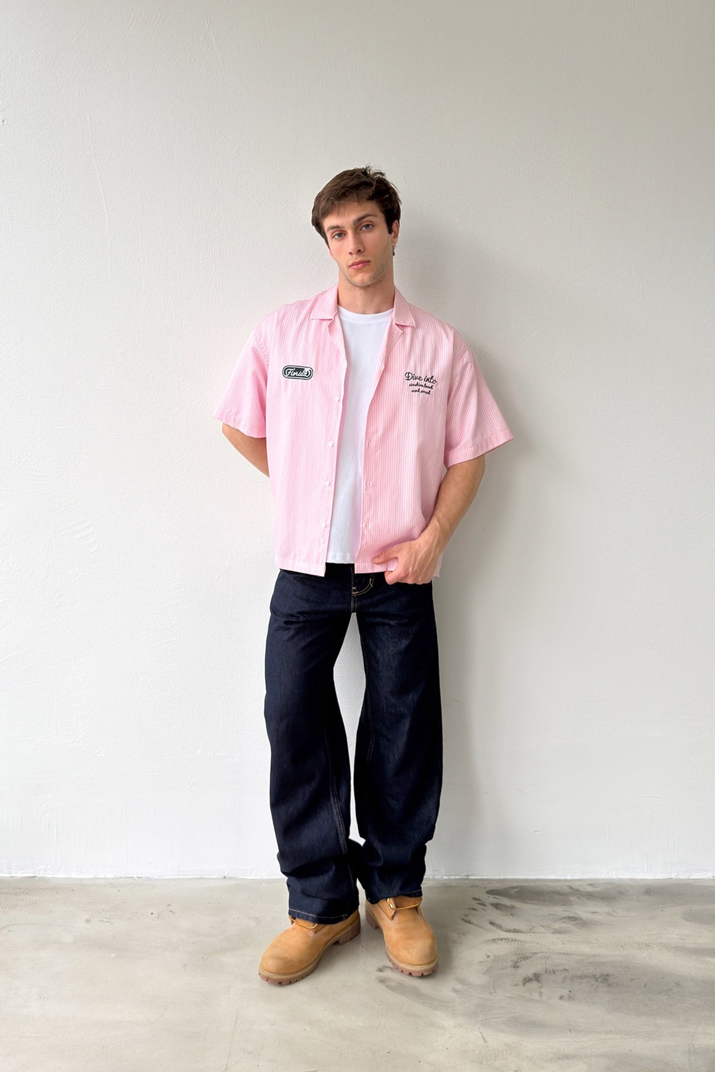 Dive Into Embroidered Striped Poplin Short Sleeve Shirt