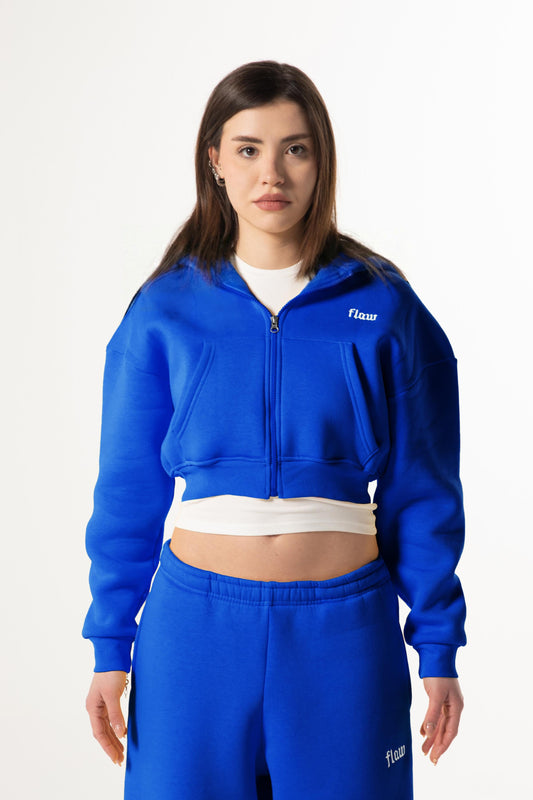 Flaw Embroidered Flower Pot Blue Zip Crop