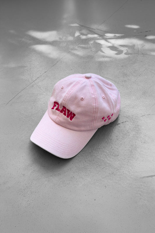 Flaw Embroidered Hat
