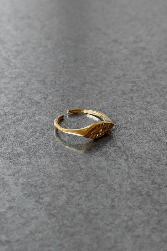 Infinite Ring