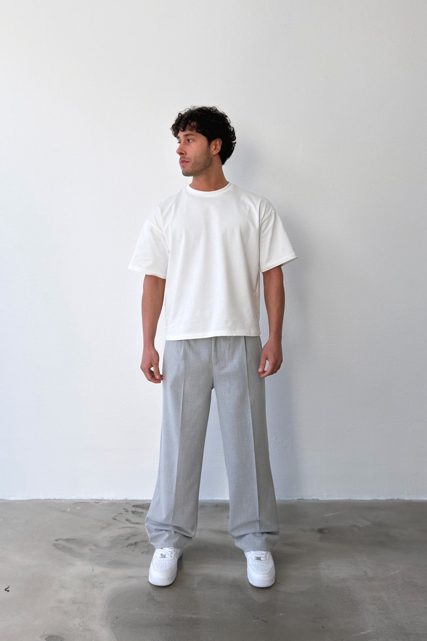 Pleated Baggy Fit Fabric Grey Trousers
