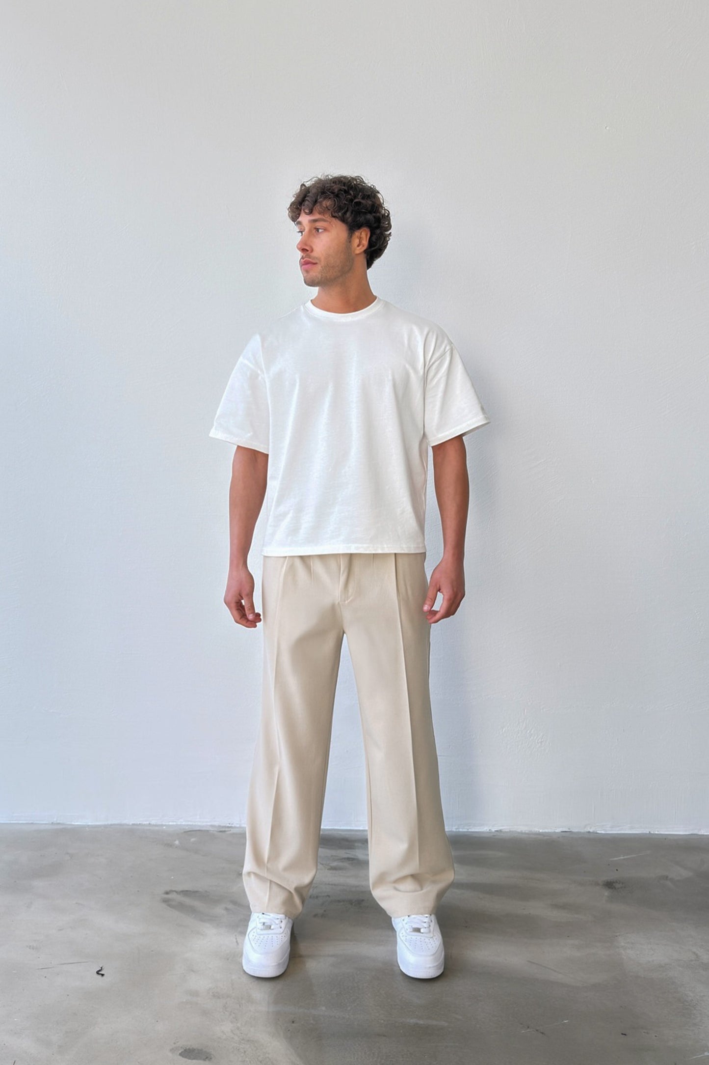 Pleated Baggy Fit Fabric Beige Trousers